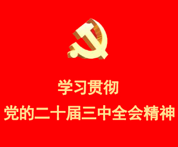 学习贯彻落实党的二十大精神